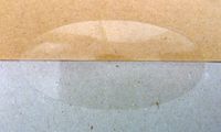 51x25mm Oval x Pack of 60 Gloss Clear Transparent Seals - Removable Low Tack Self-Adhesive Stickers