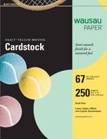 Wausau Vellum Bristol Cardstock, 67 lb, 8.5 x 11 Inch, Pastel Green, 250 Sheets (81358)