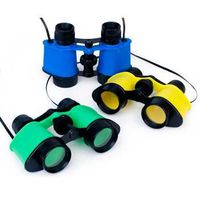 Binoculars (Each)