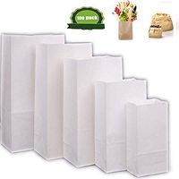 ZHIHEHE 100 paquetes de bolsas de Papel Kraft Blanco, bolsas de frutas, bolsas de Regalo, bolsas de Papel para envolver alimentos, bolsas de productos y bolsas de almacenamiento, 24 13 8 cm