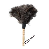 ZHANGY Spider Web Duster/Kitchen Cleaning Brush,Feather Cleaning Duster Computer Screens, Keyboards, Plant Leaves, dashboards Cleaning Tools