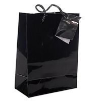 Fun Express 3-178 Small Black Gift Bags (1 Dozen)