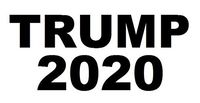 Donald Trump 2020 - Vinyl Sticker for your Car, Window, Laptop, Wall, Yeti Cup etc. ... (Black)