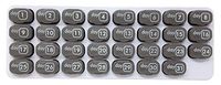 31 Day Monthly Pill Organizer with Daily Removable Pods - Grey (1 Count, Grey) Great for Travel BPA Free - Unconditional Guarantee