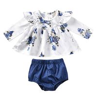 Baby Outfits,Meet&sunshine Newborn Baby Girl Floral T-Shirt Dress Tops Shorts Pants Clothes Outfit 2pcs Set (70)