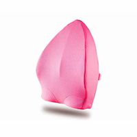 MUTANG Ergonomic 3D Ventilative Mesh Memory Foam Lumbar Support Pillow, Adjustable Straps for Car,Recliner or Office Chair Lumbar Support Back Cushion (Color : Pink)