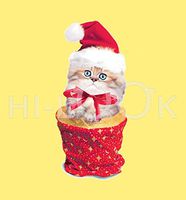 Hi-Look Microfiber Cleaning Cloth - Christmas Kitten