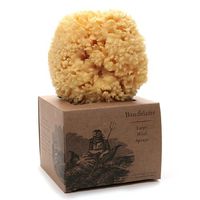 Baudelaire Large Wool Sponge 1 ea