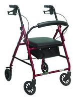 ProBasics Economy Rollator with Loop Brakes and Pouch by PMI