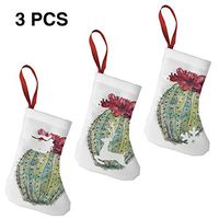 Santa Claus Snowman Christmas Figure Decoration A Cactus in Bloom Great for Funny Xmas Party