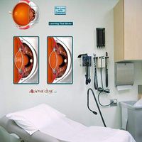 Eye Lens with Cataract Sticky Anatomy Wall Chart  