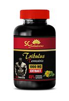 Increase Sexual Drive for Men - TRIBULUS TERRESTRIS Extract 1000Mg - Tribulus terrestris Bulk - 1 Bottle 90 Tablets
