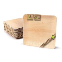 Naturally Chic Compostable Biodegradable Disposable Plates - Palm Leaf 9” Square Small Dinnerware Set - Eco Friendly Alternative - Party, Wedding, Event Plates (25 Pack)