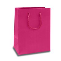 Matte Hot Pink Mini Euro Bags | Quantity: 25 | Width: 3" Gusset - 2 1/2"