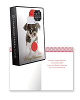 12 Count Christmas Holiday Boxed Cards w/Envelopes Cute Xmas Animal Greeting Card