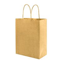 Sturdy Medium Thick Paper Bags with Handles Bulk, Bagmad Brown Kraft Bags 8x4.75x10 inch 100 Pcs Pack, Strong Craft Gift Grocery Shopping Retail Party Wedding Bags Sacks (Thicken, 100pcs)