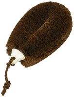 Child Narita-kun of turtle (japan import)