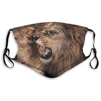 Fierce Lion Protective Mask with Gasket Disposable Water Repellent Multilayer Filter Adult Sunscreen Large Mask S