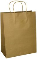 Craft Gift Bags ~ Brown Paper 1 Dozen - 10" x 5" x 13"