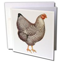 3dRose Vintage Bird, Faux Oil Painting Effect Chicken - Greeting Cards, 6 x 6", Set of 12 (gc_119032_2)