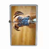 Dog Boxer 01 Dual Torch Lighter