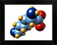 CANVAS ON DEMAND Lysine, Molecular Model Black Framed Art Print, 19"x15"x1"