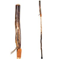 Brazos 48" Free Form Aspen Walking Stick for Men and Women, Made in the USA