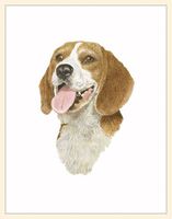 Fiddler's Elbow Beagle Blank Box Note Cards