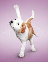 Hi-Look Microfiber Cleaning Cloth - Kerrigan