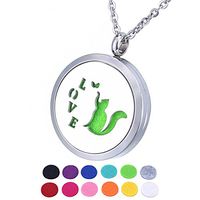 HOUSWEETY Aromatherapy Essential Oil Diffuser Necklace-Stainless Steel Locket Pendant,12 Refill Pads