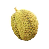 Meidexian888 3D Pillow,3D Funny Durian Shape Digital Print Comfort for Home Decoration