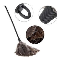 Mini Feather Duster, Handmade Washable Reusable Ostrich Particles Duster Feather Brush for Books Keyboard Office Home