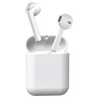 Bluetooth 5.0 Earbuds, True Wireless Earbuds with Charging Case HiFi Bass Earphones Built-in Dual HD Microphone (2.5 Hrs Playing Time, IPX5)