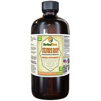Culver's Root (Veronicastrum Virginicum) Tincture, Organic Dried Root Liquid Extract (Brand Name: HerbalTerra, Proudly Made in USA) 32 fl.oz (0.95 l)