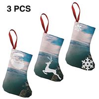 Christmas Stockings Gift Bag Sea, Coast, Water, Ocean, Fabulous for Funny Xmas Party