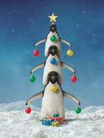 Hi-Look Microfiber Cleaning Cloth - Oh Penguin Tree
