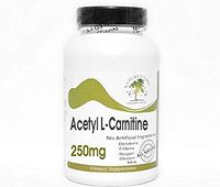 Acetyl L-Carnitine 250mg ~ 100 Capsules - No Additives ~ Naturetition Supplements