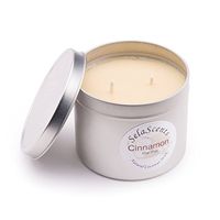 Sela Scents Large 16 oz. Pillar Cinnamon Scented Aromatherapy Soy Wax Candle 50 Hour Burn Time