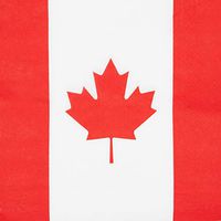 Canadian Flag Napkins for Parties (100 Pack)