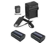 2X Batteries + Charger for Sony HDR-PJ260VE, Sony HDR-PJ580V, Sony HDR-PJ580VB, Sony HDR-PJ580VE