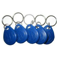 RFID EM KEYFOBS - Set of 5