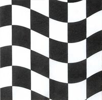 Black & White Check Beverage Napkin, 2 Ply (12pks Case)