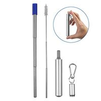 Insten Collapsible Reusable Metal Straws, Food-Grade Stainless Steel Drinking Straw with Portable Case and Cleaning Brush for Gold Beverage, Coffee and Smoothie, Silver