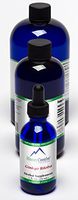 16oz. Ginkgo Biloba Supplement for Memory and Mental Alertness, Natural Gingko Biloba Liquid Extract Alcohol-Free Support Healthy Brain Function, by HoneyCombs Industries