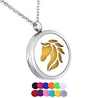 HooAMI Aromatherapy Essential Oil Diffuser Necklace - Horse Head Stainless Steel Locket Pendant, 12 Refill Pads