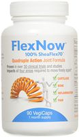 Flex Now Joint Formula 90 SFG