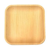 EcoHost Palm Leaf Disposable Plates - Square - 9.5" - 20 Count - Great for Parties, Dinners and Camping