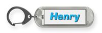 Dimension 9 Novelty Key Ring Key Chain (FFLNT-Henry)