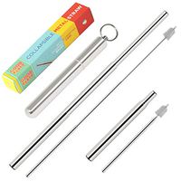 Good Party Collapsible Metal Straw – Retractable Straw with Case – Reusable Drinking Straws with Keychain – Portable Straws + Matching Brush – Telescopic Straw Available in 6 Colors (Silver)
