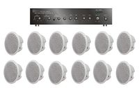 Large Restaurant/Bar/Retail Store Business Background Music Sound System- Amplifier, 12 Speakers +